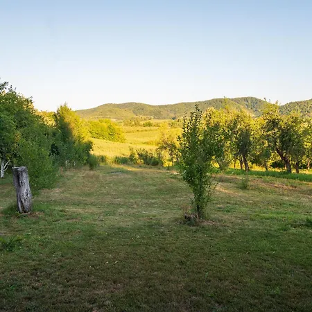 Feriehus Zeleni Horizont *